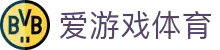 爱游戏体育app官网登录入口 - AYX爱游戏(中国)